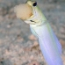 jawfish_yellowhead_dw_wc_v_0035_tci1860.jpg